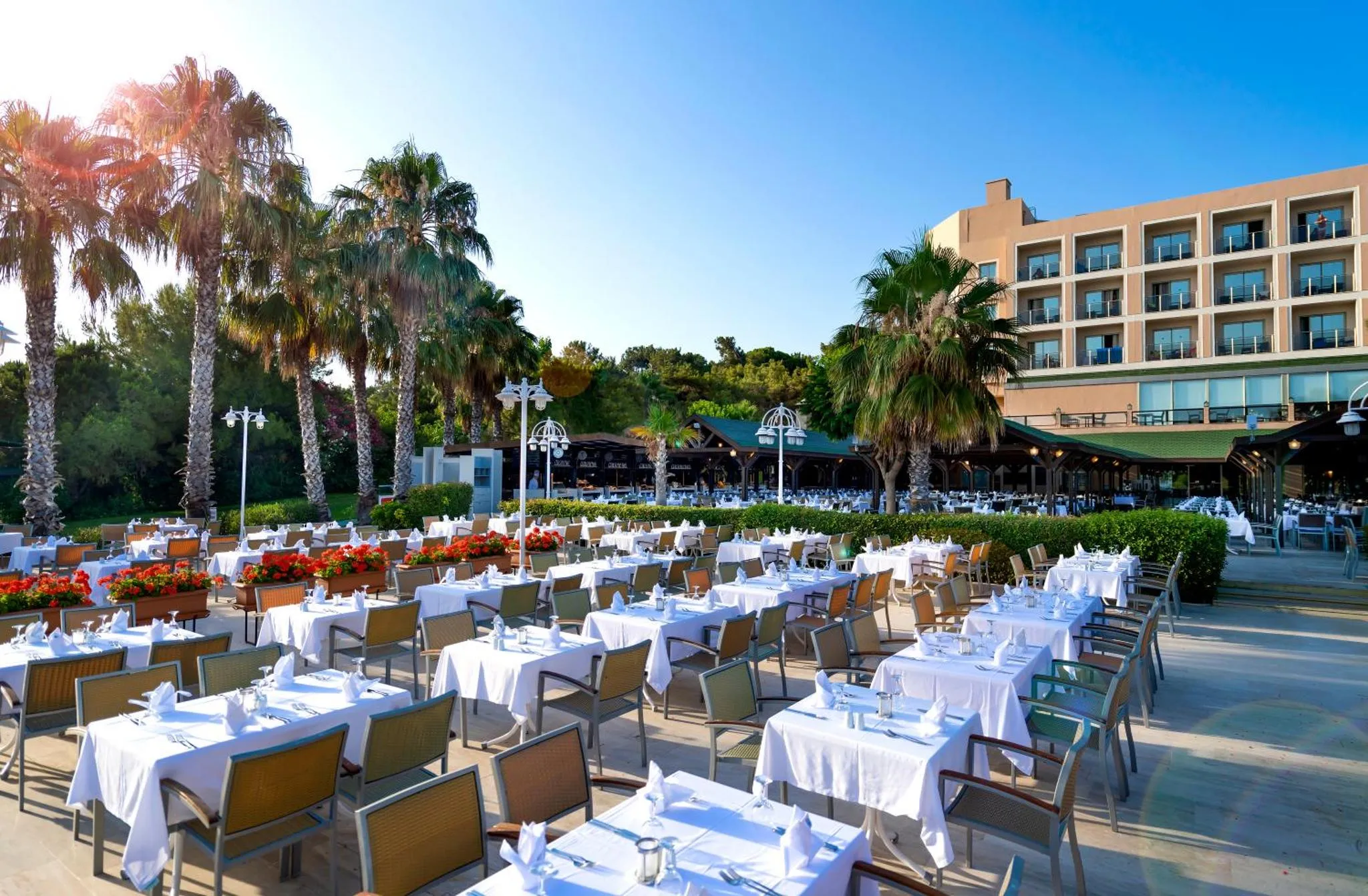 Terrasse de restaurant avec tables dressées et végétation luxuriante.