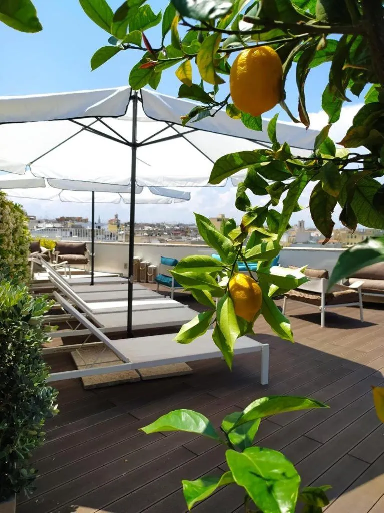 Terrasse avec transats et agrumes en fleurs, vue sur la ville.