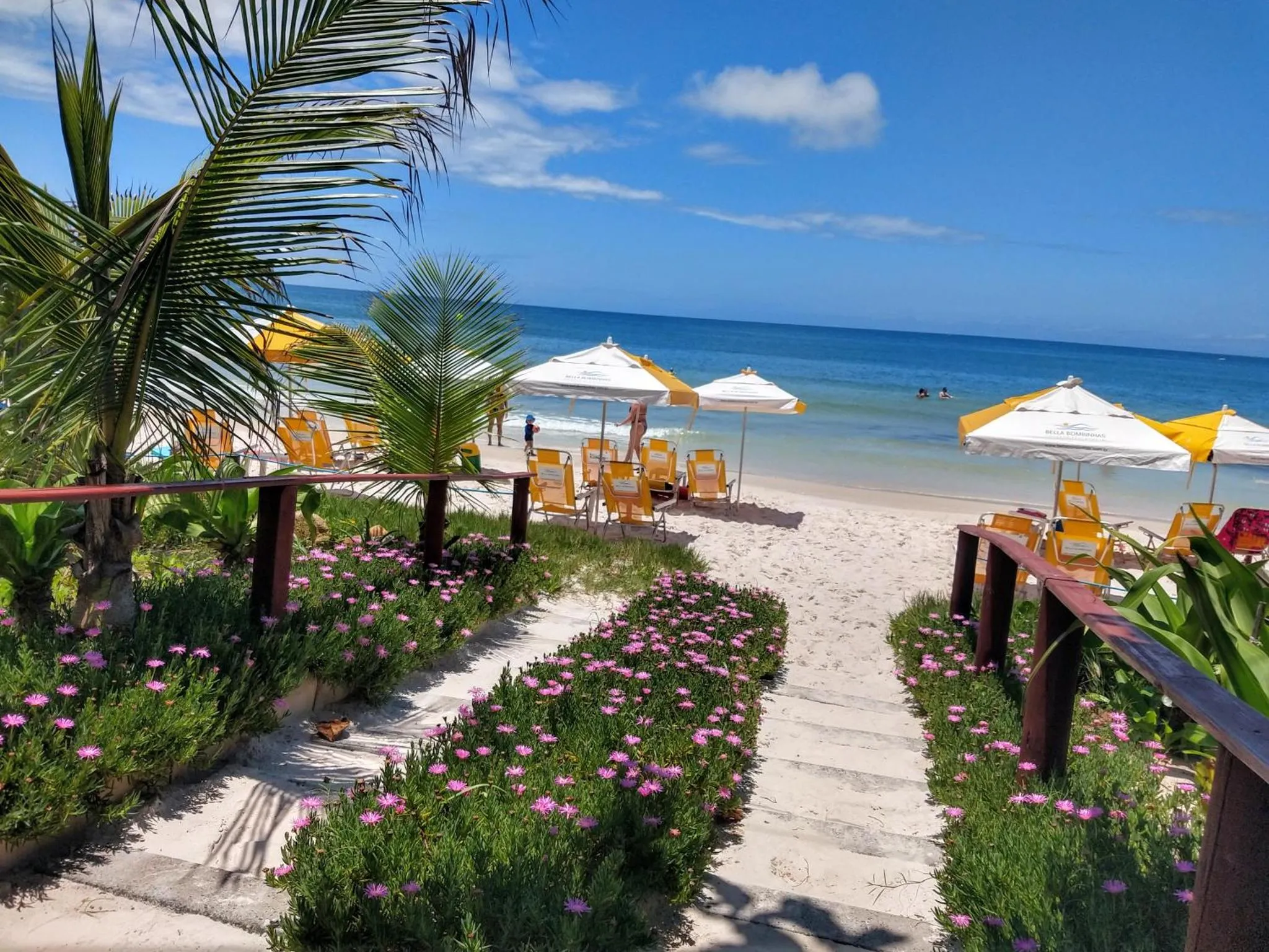 Plage de sable blanc avec parasols et transats sous des palmiers.