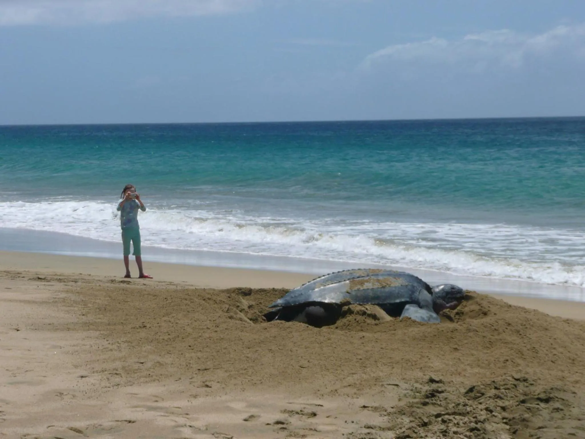 Une personne se tient sur une plage de sable fin face à la mer.