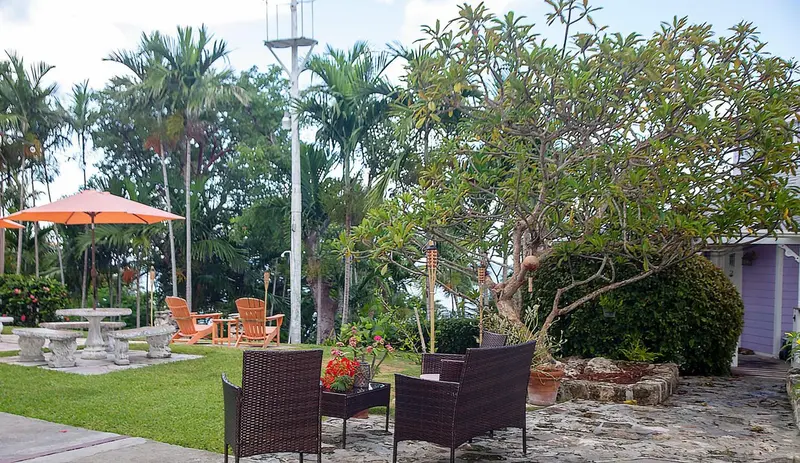 Mobilier de jardin disposé sur une pelouse verdoyante avec des arbres et des arbustes.