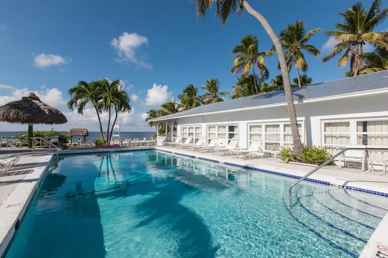 Une piscine turquoise bordée de chaises longues, avec un bâtiment blanc en arrière-plan et des palmiers.