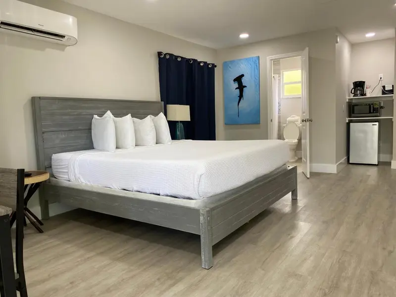 Une chambre lumineuse avec un grand lit et un coin cuisine.