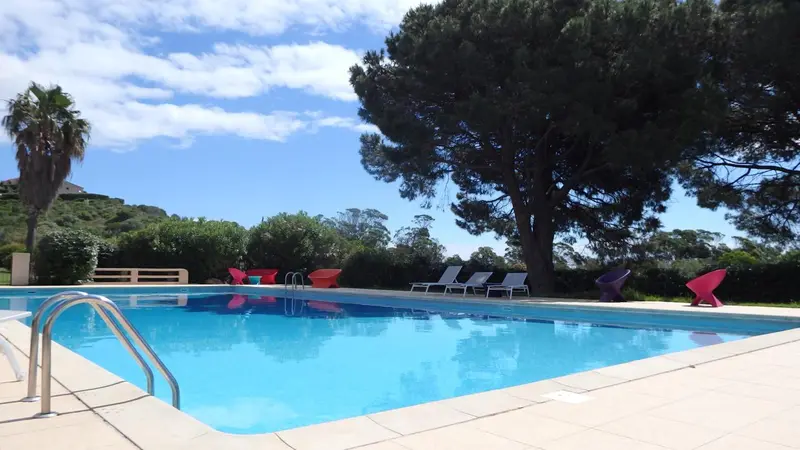 Une piscine rectangulaire avec des transats colorés et des arbres en arrière-plan.