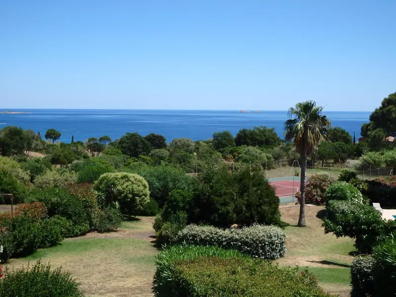 Vue d'un jardin verdoyant avec la mer à l'horizon.
