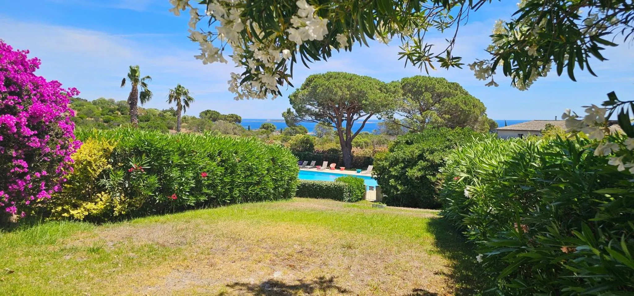 Jardin verdoyant avec piscine et végétation luxuriante en bord de mer.