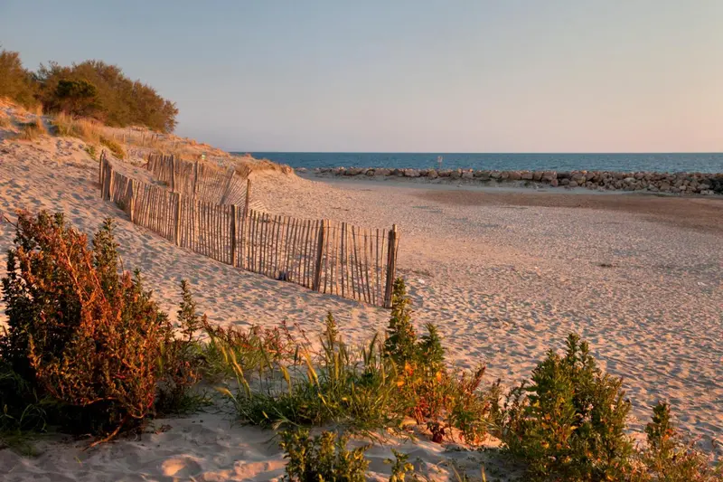 Une plage de sable clair bordée de végétation et d'une barrière en bois.