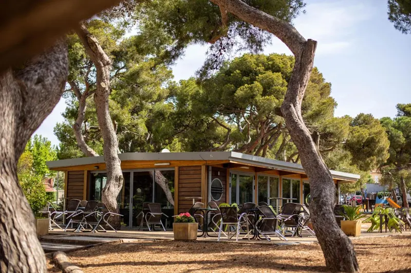 Bâtiment bas avec une terrasse ombragée par des arbres.
