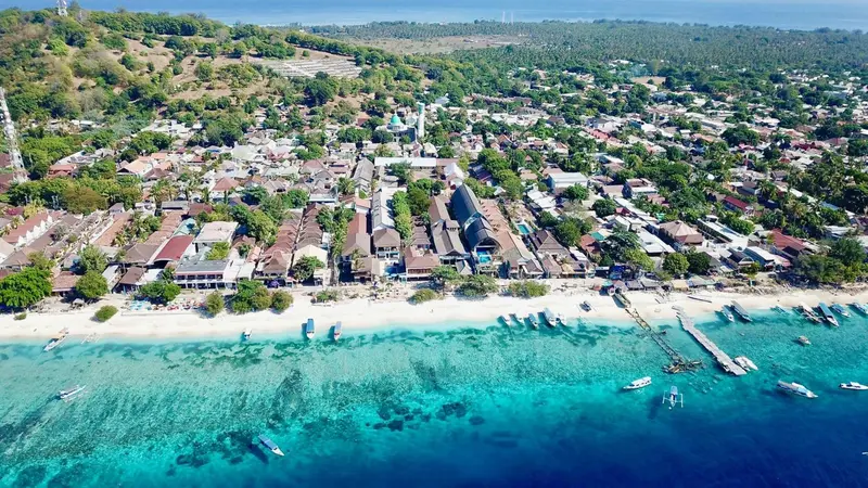 Vue aérienne d'une plage bordée de bâtiments et de palmiers.