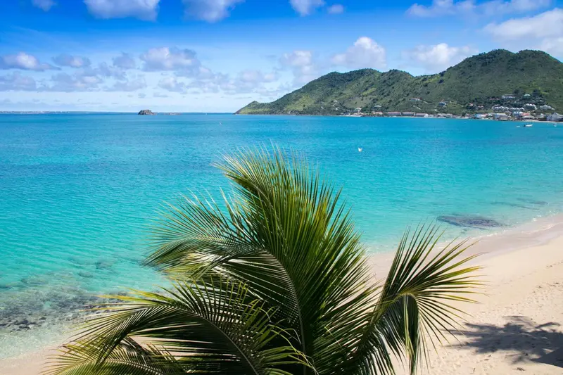 Vue sur une plage de sable blanc bordée d'une eau turquoise et d'une végétation luxuriante.