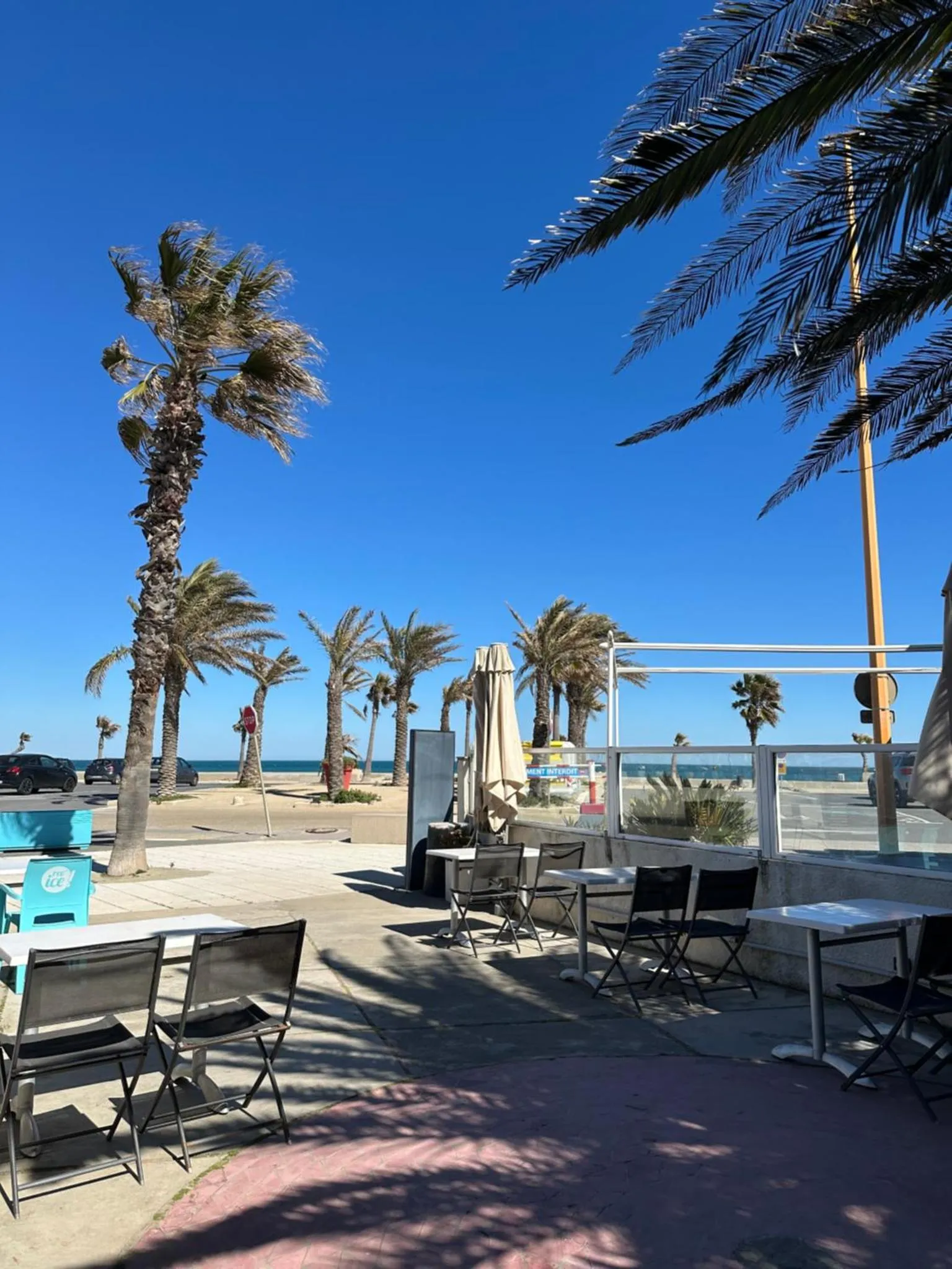 Terrasse ombragée avec tables et chaises en bord de mer sous des palmiers.