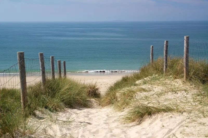 Une allée de sable mène à une plage bordée de végétation et de piquets en bois.