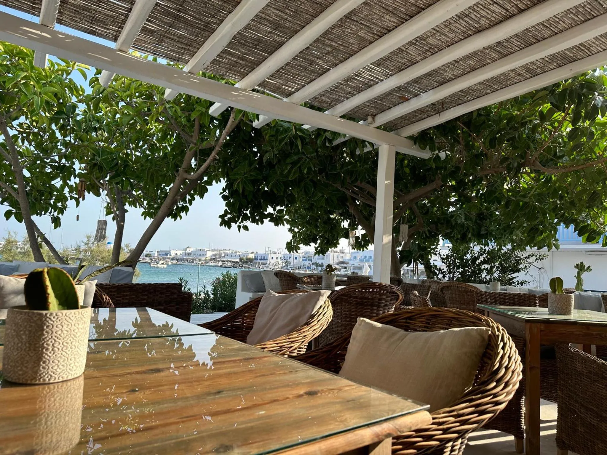 Tables et fauteuils en osier sous une pergola ombragée avec vue sur la mer.