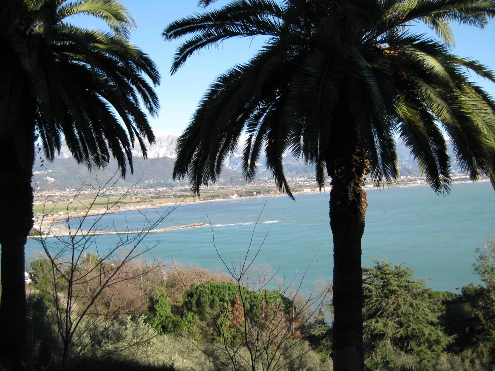 Vue sur la mer et les montagnes depuis un jardin tropical.