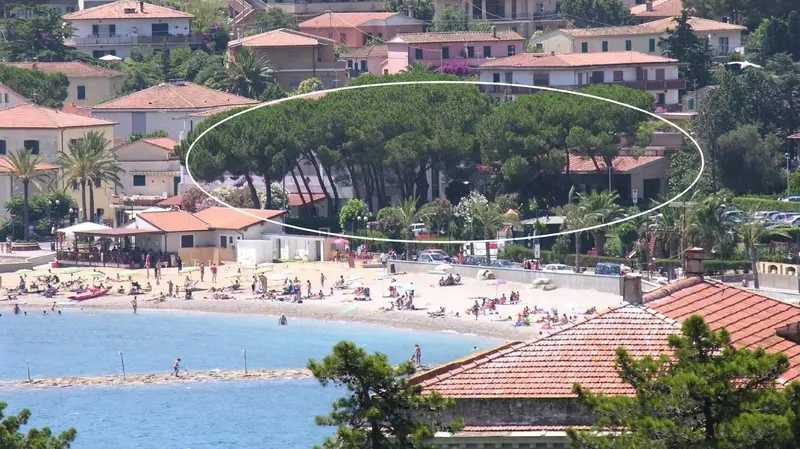 Vue aérienne d'une plage ensoleillée bordée de bâtiments et de végétation.