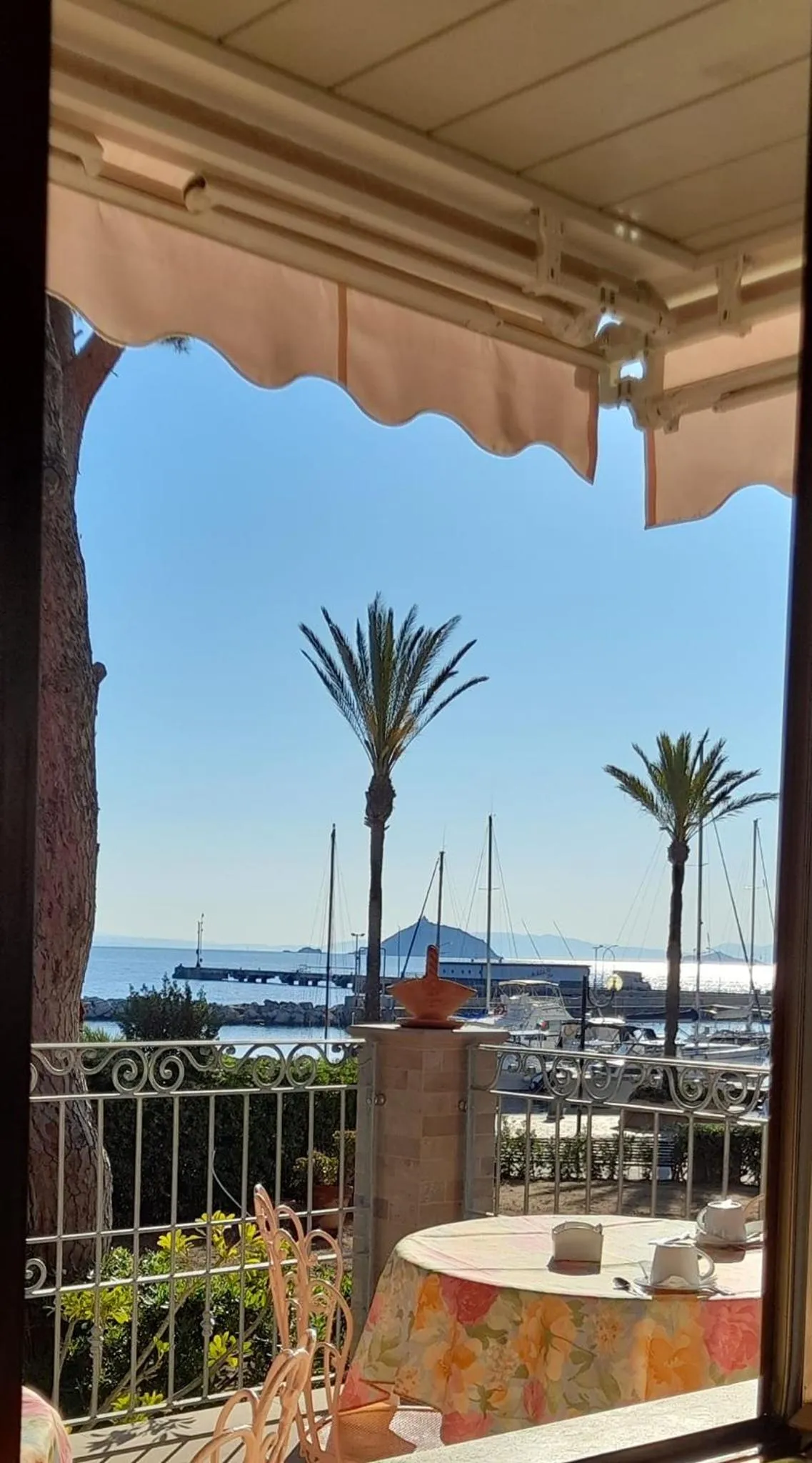 Vue sur la mer et les palmiers depuis une terrasse ombragée.