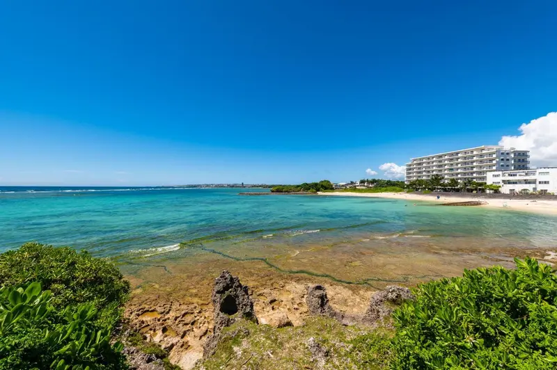 Vue d'une plage de sable blanc bordée d'une eau turquoise et d'une végétation luxuriante.