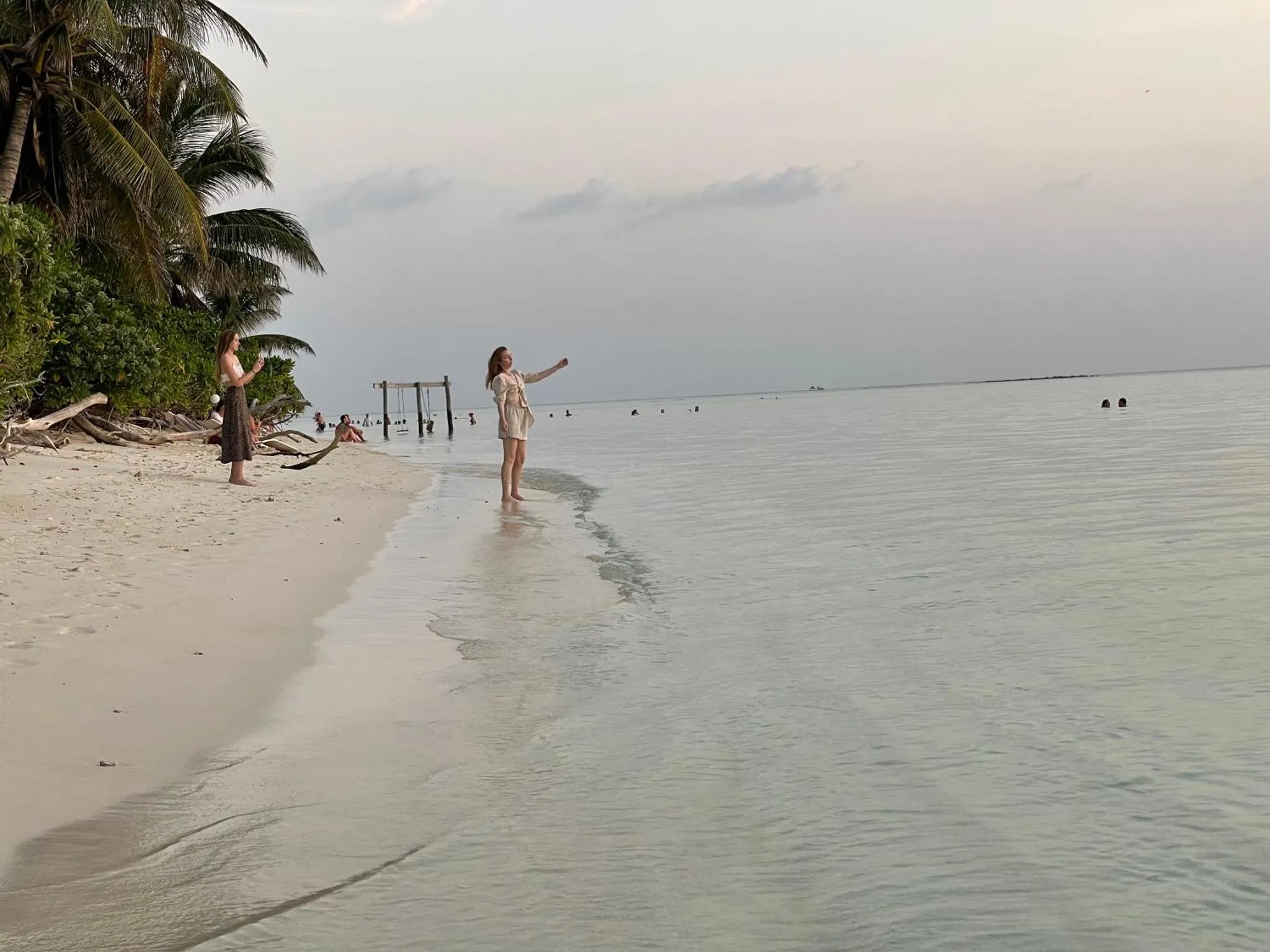 Personnes se tenant sur une plage de sable blanc bordée de palmiers.