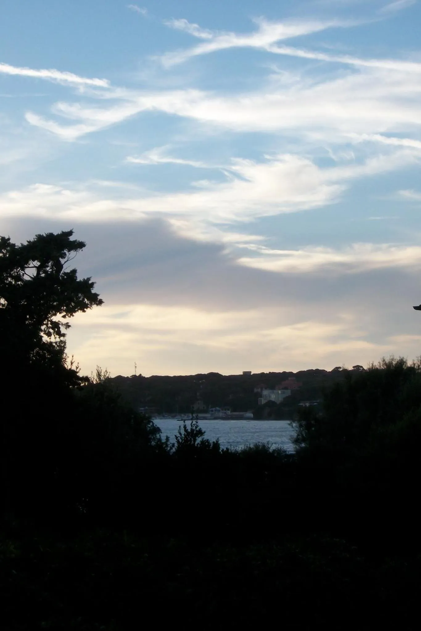 Ciel nuageux au-dessus d'une vue sur la mer et la végétation.
