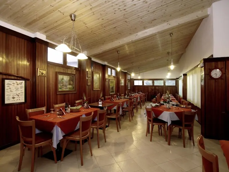 Une salle de restaurant lumineuse avec des tables dressées et un décor mural.
