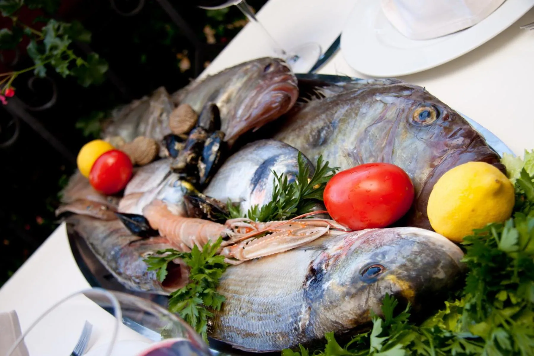 Assiette de fruits de mer frais et colorés présentée sur une table nappée.