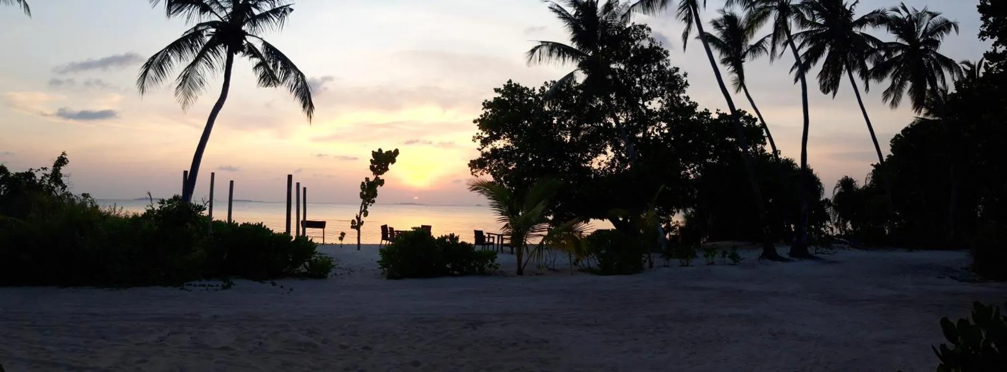 Coucher de soleil sur une plage de sable blanc bordée de palmiers.
