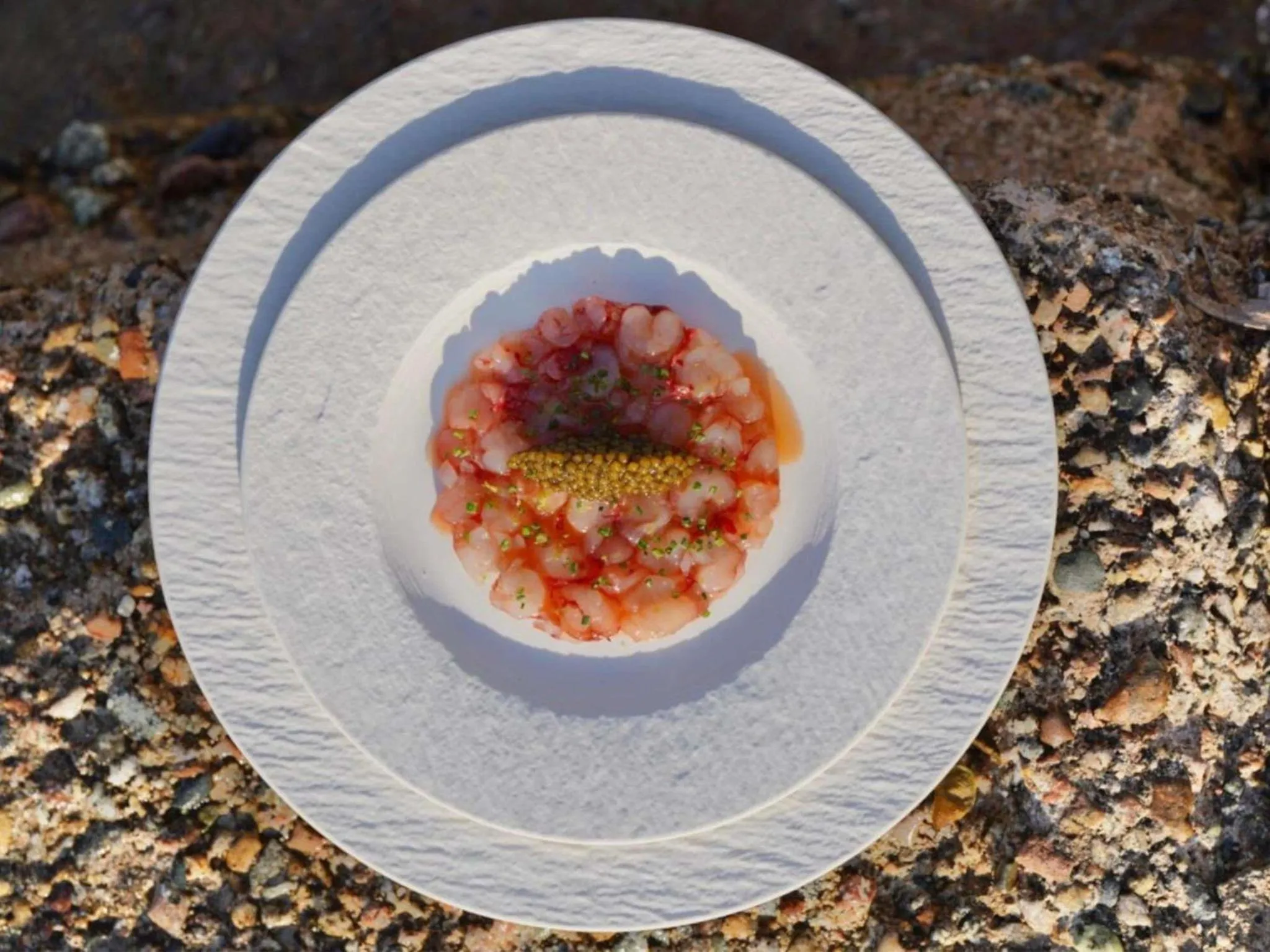 Assiette de fruits de mer frais présentée avec une décoration soignée.