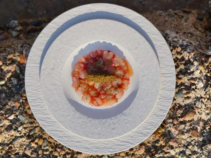 Assiette de fruits de mer frais présentée avec une décoration soignée.