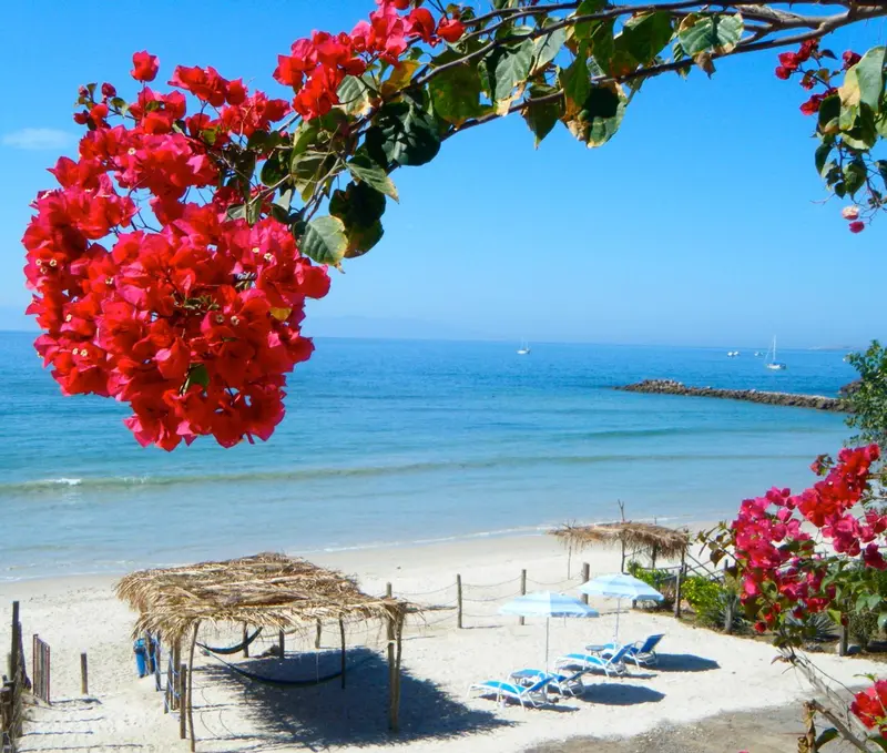 Plage de sable blanc avec parasols et transats sous des abris de chaume.