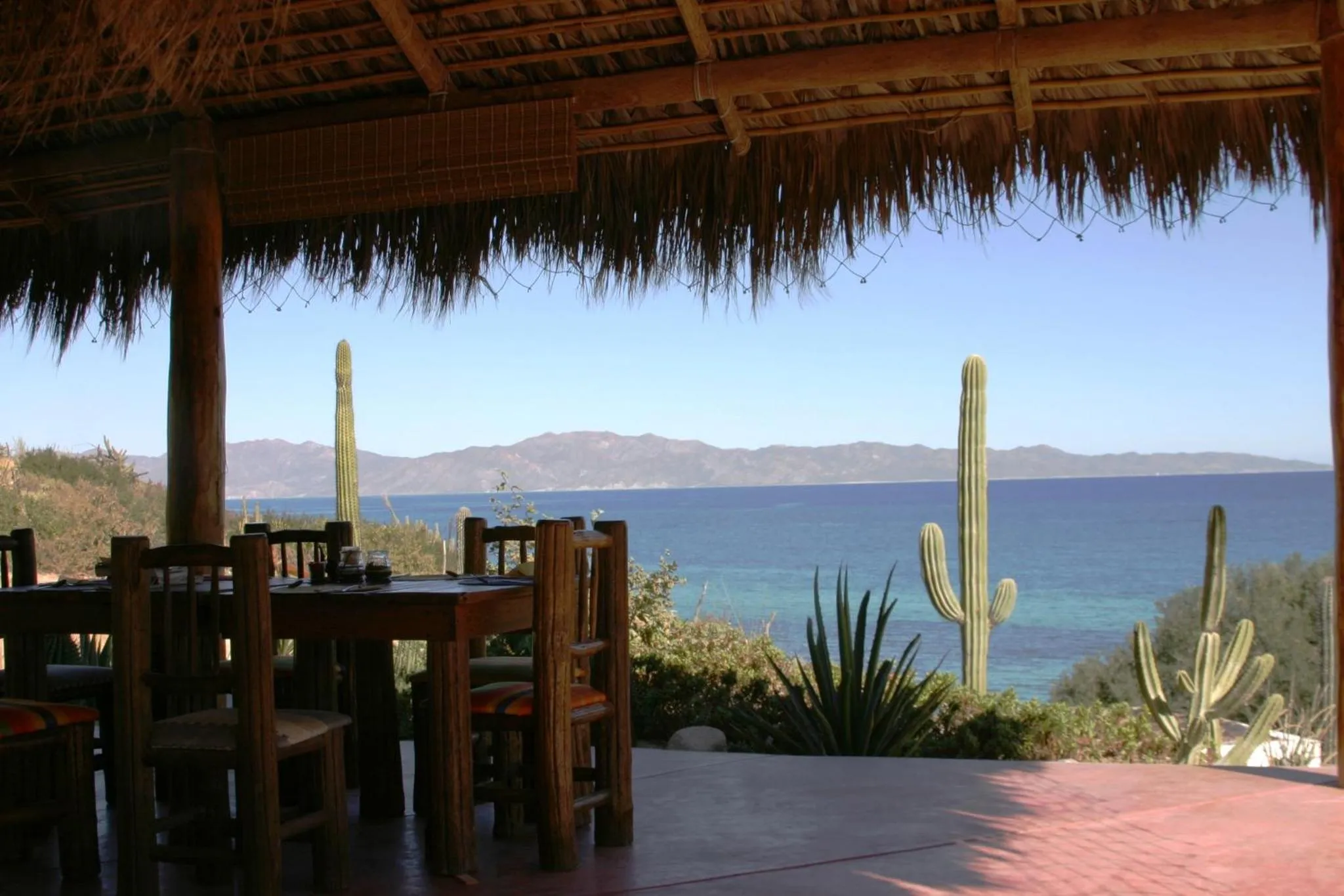 Terrasse ombragée avec tables et vue sur la mer.