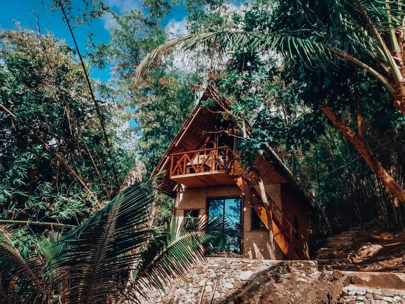 Une cabane en bois sur pilotis est nichée dans une végétation luxuriante.