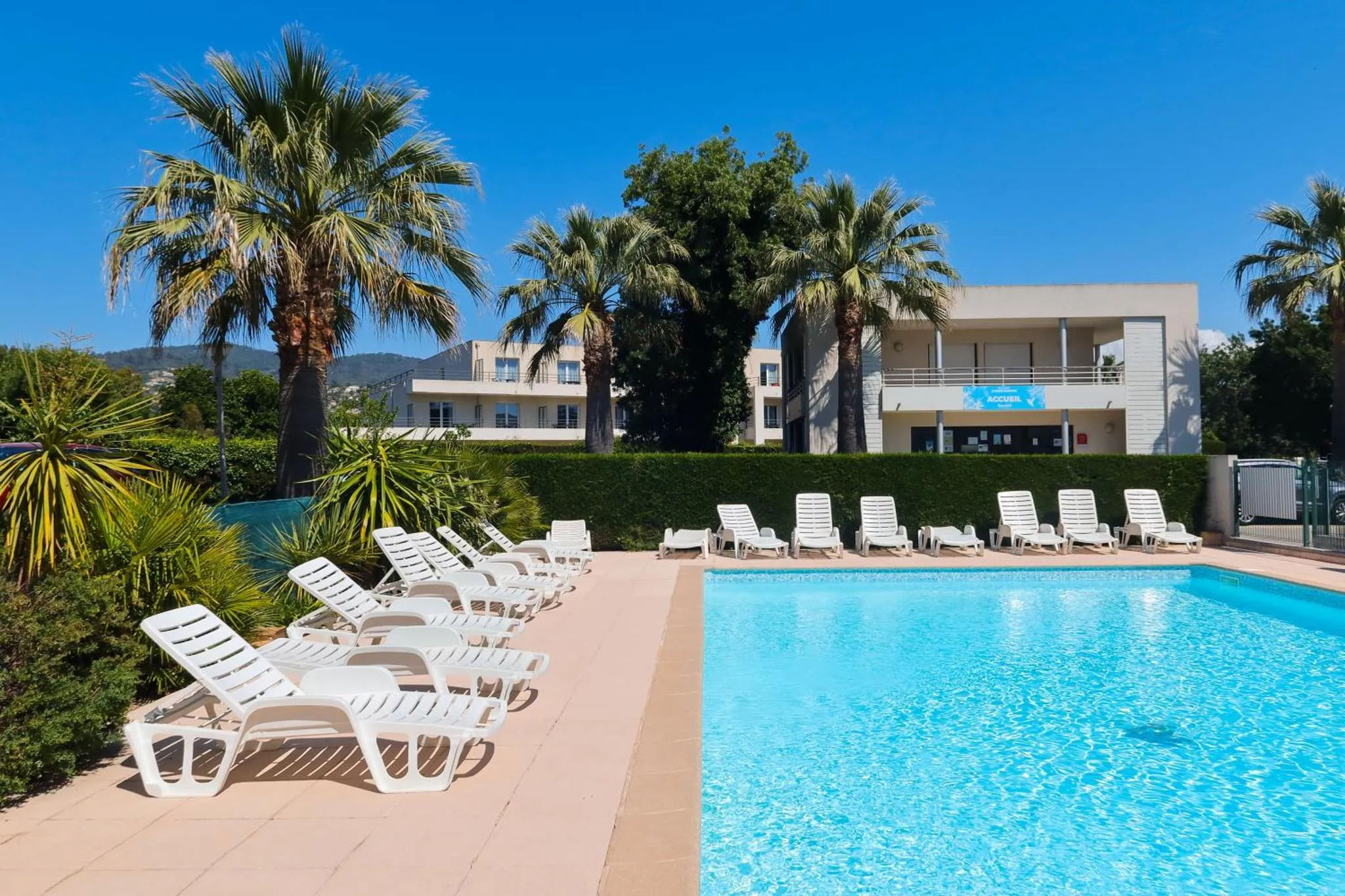 Transats blancs alignés au bord d'une piscine turquoise, avec des palmiers en arrière-plan.