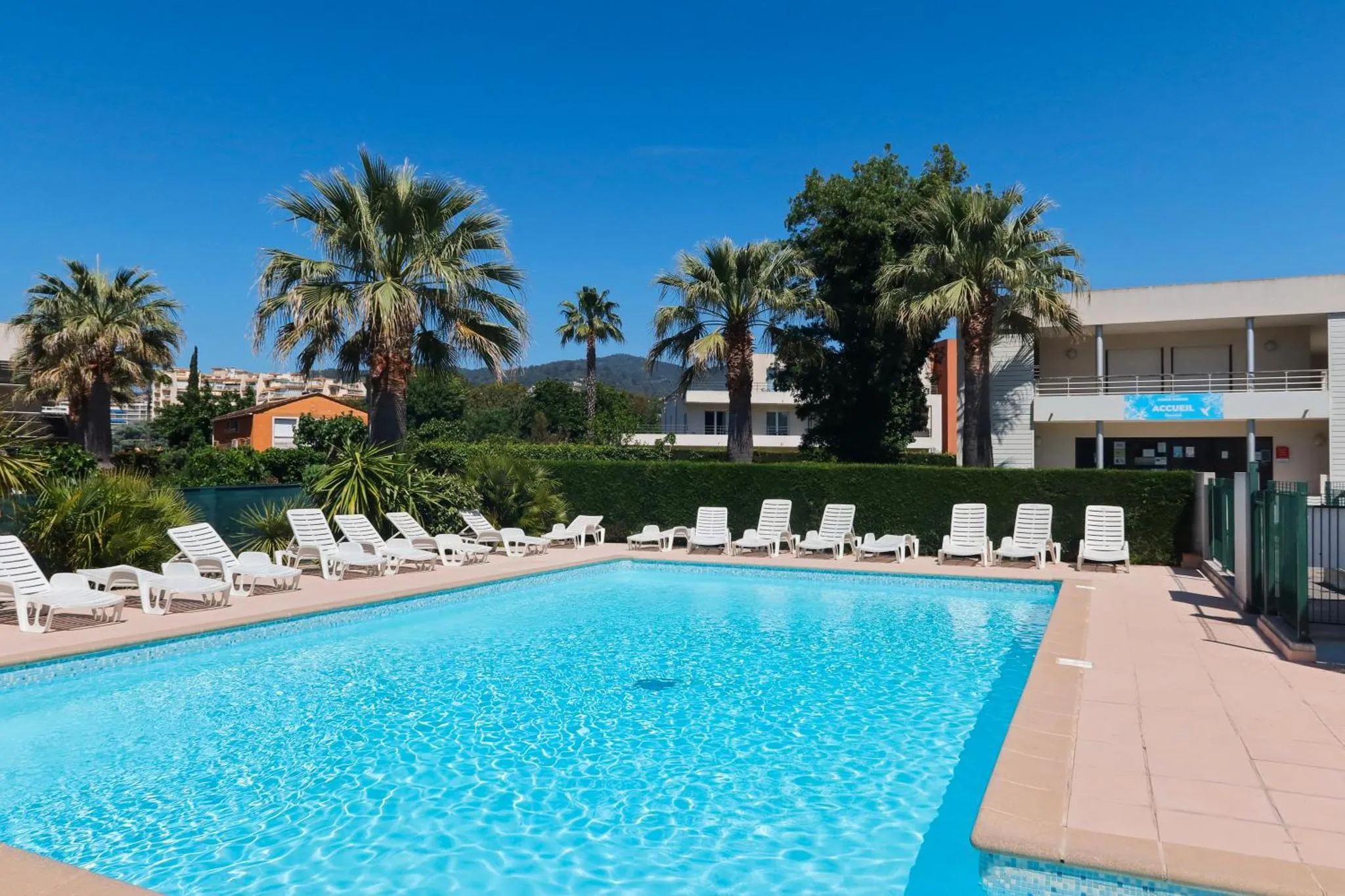 Transats blancs alignés au bord d'une piscine turquoise sous des palmiers.