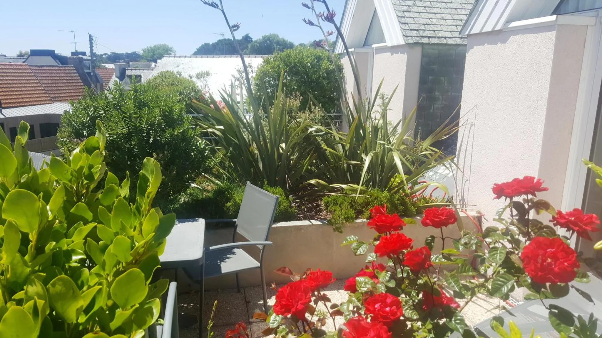 Une terrasse fleurie avec des rosiers rouges et une chaise longue.