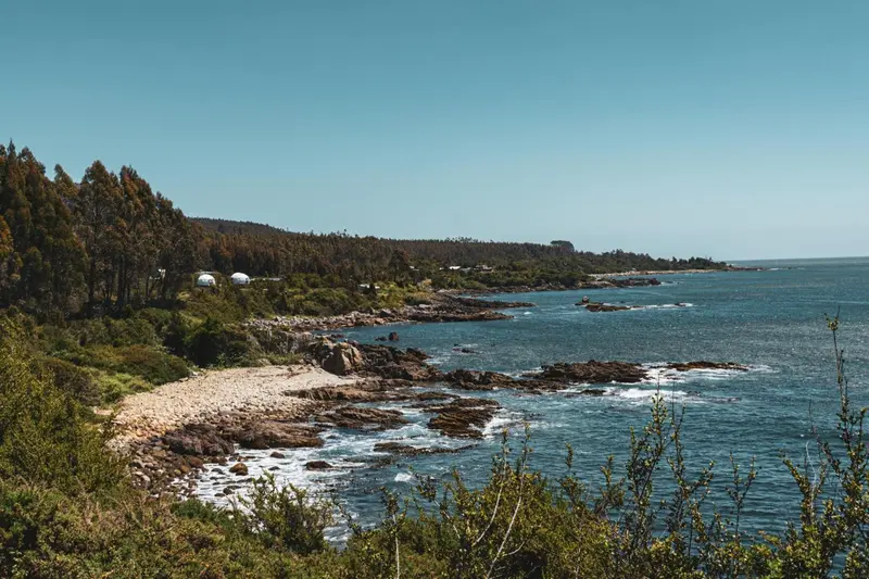 Côte rocheuse avec végétation et plage de sable.