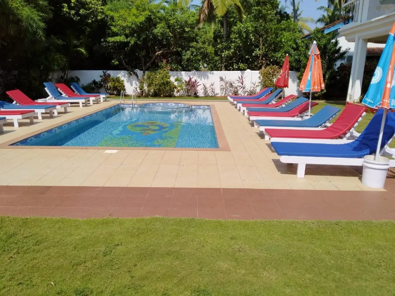 Transats colorés disposés autour d'une piscine rectangulaire sur une pelouse verdoyante.