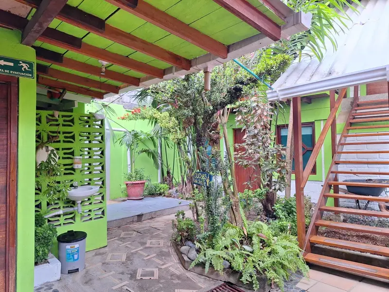 Un espace extérieur ombragé avec des escaliers en bois et une végétation luxuriante.