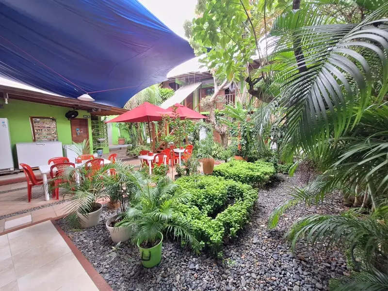 Espace extérieur aménagé avec tables, parasols et végétation luxuriante.