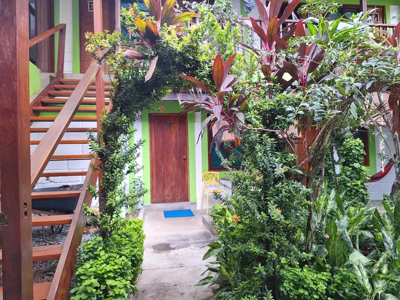 Un escalier en bois mène à une porte d'entrée ombragée par la végétation.