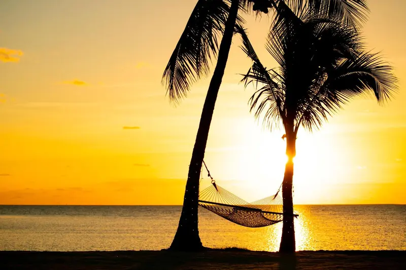 Un hamac est suspendu entre deux palmiers au coucher du soleil sur une plage.