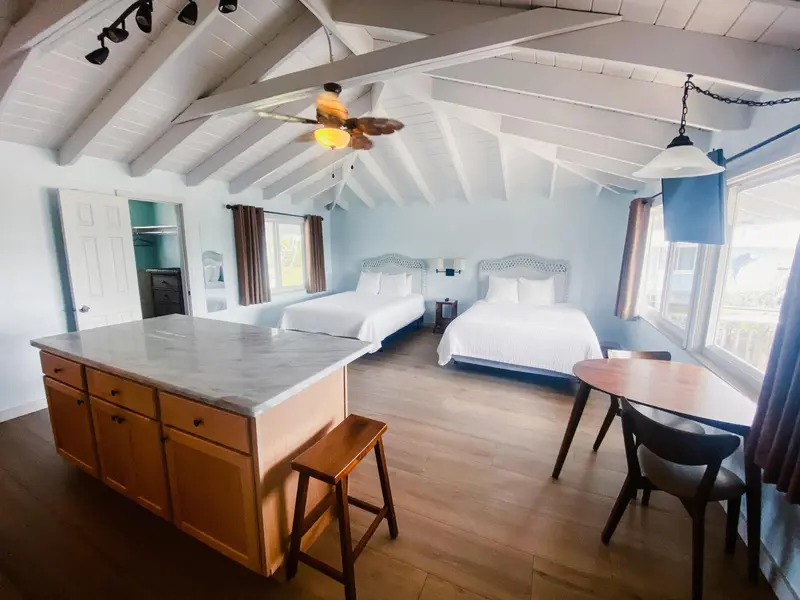 Une chambre lumineuse avec un îlot central et un coin repas.