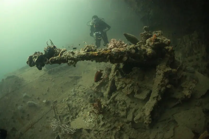 Un plongeur explore une épave recouverte de coraux et de végétation marine.