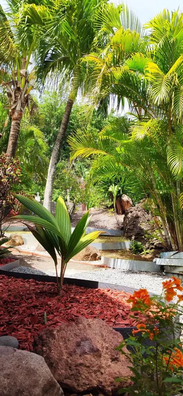 Un jardin tropical avec des palmiers et une petite cascade.