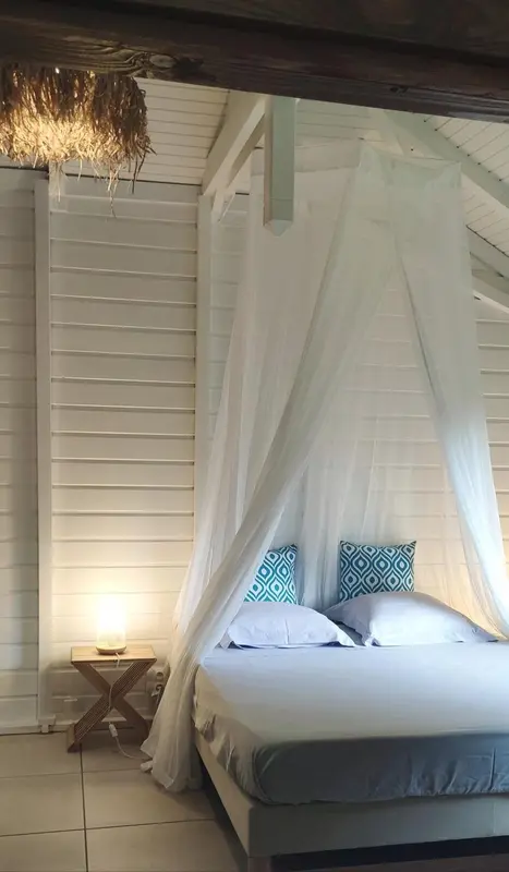 Un lit recouvert d'une moustiquaire dans une chambre lumineuse.