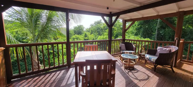 Terrasse en bois avec mobilier de jardin et vue sur la végétation.