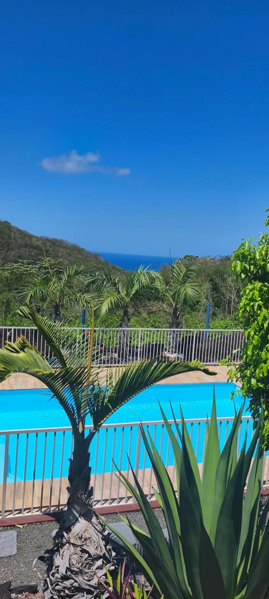 Une piscine turquoise bordée de végétation luxuriante offre une vue sur la mer et les collines verdoyantes.