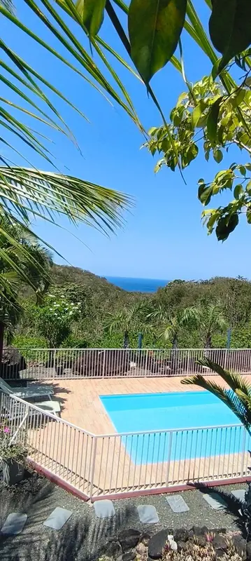 Une piscine rectangulaire avec une terrasse en bois et des palmiers.