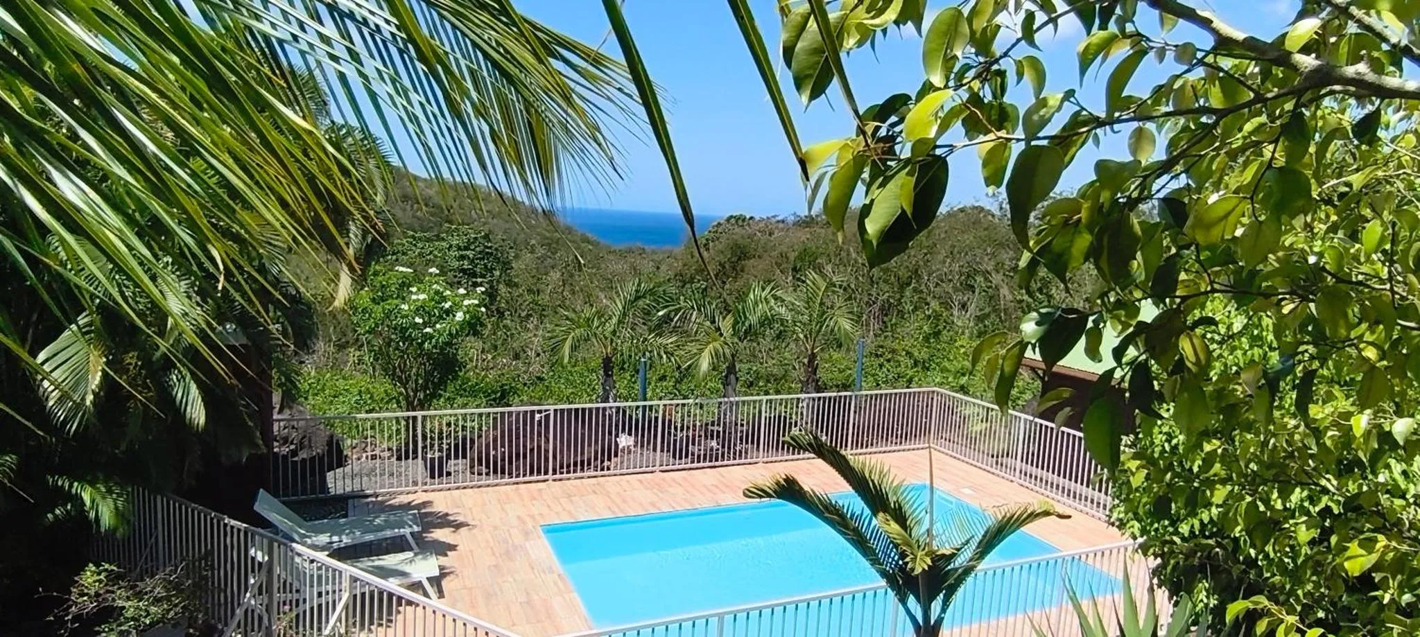 Une piscine turquoise bordée d'une terrasse en bois offre une vue sur la mer et la végétation luxuriante.