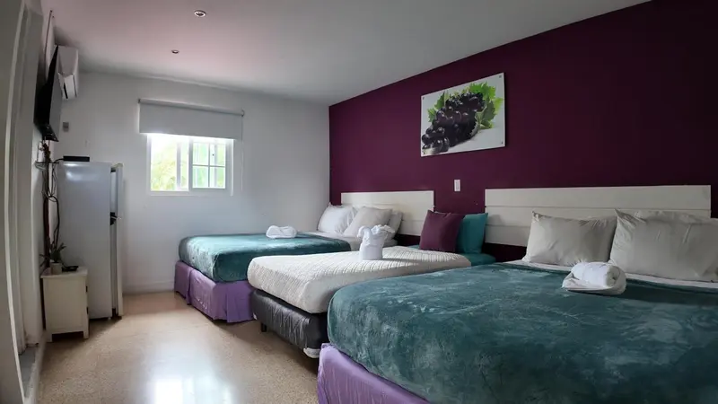 Chambre lumineuse avec deux lits doubles et un mur décoratif.