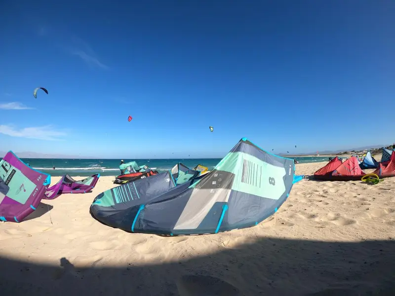 Cerfs-volants de kitesurf alignés sur une plage de sable fin.